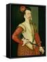 Robert Dudley (1532-88) 1st Earl of Leicester, C.1560S (Oil on Panel)-or Muelen, Steven van der Meulen-Framed Stretched Canvas