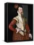 Robert Dudley, 1st Earl of Leicester (1532-158), 1560s-Steven van der Meulen-Framed Stretched Canvas