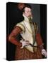Robert Dudley, 1st Earl of Leicester (1532-158), 1560s-Steven van der Meulen-Stretched Canvas