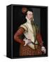 Robert Dudley, 1st Earl of Leicester (1532-158), 1560s-Steven van der Meulen-Framed Stretched Canvas