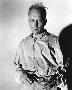 Laminate