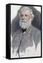 Robert E. Lee (1807-1870)-null-Framed Stretched Canvas