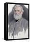 Robert E. Lee (1807-1870)-null-Framed Stretched Canvas