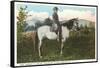 Robert E. Lee on Horse, Gettysburg, Pennsylvania-null-Framed Stretched Canvas