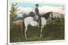 Robert E. Lee on Horse, Gettysburg, Pennsylvania-null-Stretched Canvas