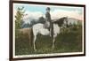 Robert E. Lee on Horse, Gettysburg, Pennsylvania-null-Framed Art Print