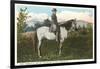 Robert E. Lee on Horse, Gettysburg, Pennsylvania-null-Framed Art Print