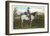 Robert E. Lee on Horse, Gettysburg, Pennsylvania-null-Framed Art Print