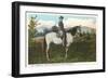 Robert E. Lee on Horse, Gettysburg, Pennsylvania-null-Framed Art Print