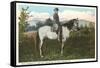 Robert E. Lee on Horse, Gettysburg, Pennsylvania-null-Framed Stretched Canvas