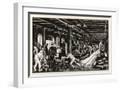 White Frame