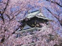 Cherry Blossoms in Front of Osaka Castle-Robert Essel-Framed Stretched Canvas