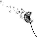 Vector Silhouette Graphic Illustration Depicting Dandelion Seed Dispersal-Robert F Balazik-Art Print