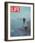 Robert F. Kennedy Jogging on the Beach with his Dog, June 14, 1968-Bill Eppridge-Framed Photographic Print