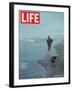 Robert F. Kennedy Jogging on the Beach with his Dog, June 14, 1968-Bill Eppridge-Framed Premium Photographic Print