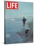 Robert F. Kennedy Jogging on the Beach with his Dog, June 14, 1968-Bill Eppridge-Stretched Canvas