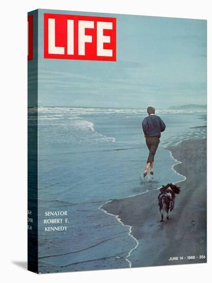 Robert F. Kennedy Jogging on the Beach with his Dog, June 14, 1968-Bill Eppridge-Stretched Canvas