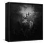 Canvas Black