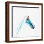 Brown Frame