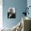 Robert Frost-Eric Schaal-Mounted Premium Photographic Print displayed on a wall