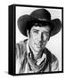 Robert Fuller-null-Framed Stretched Canvas