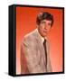 Robert Fuller-null-Framed Stretched Canvas