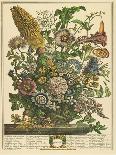 October-Robert Furber-Giclee Print