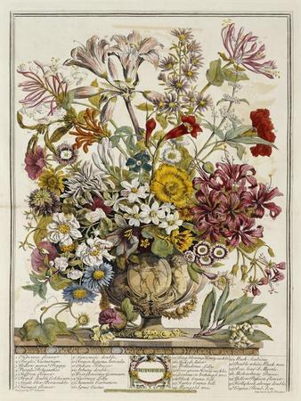 Hand Colored Engraving of Bouquet- October, 1730