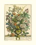 December-Robert Furber-Giclee Print