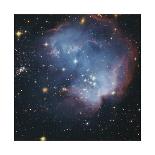 The Trifid Nebula in Sagittarius-Robert Gendler-Giclee Print