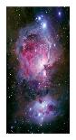 The Eagle Nebula in Serpens-Robert Gendler-Giclee Print