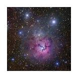 Horsehead Nebula-Robert Gendler-Giclee Print