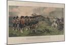 Wood Mount
