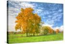 Stretched Canvas