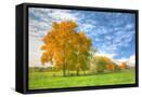 Canvas Black