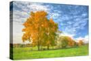 Stretched Canvas