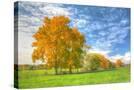 Stretched Canvas