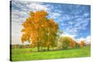 Stretched Canvas