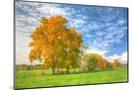 Wood Mount