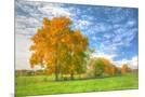 Wood Mount