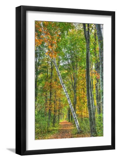 Premium Photographic Print, , large