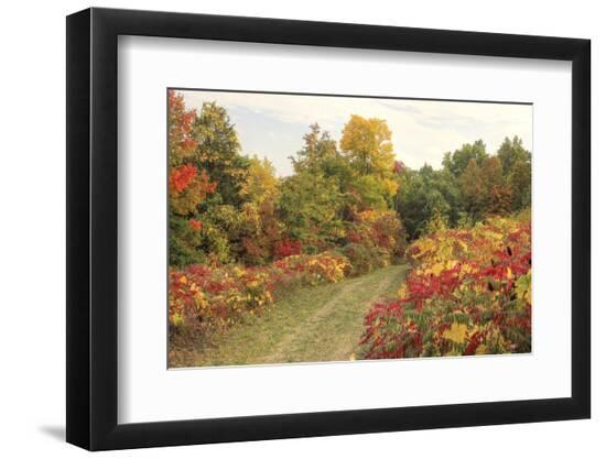 Premium Photographic Print, , large