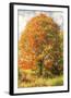Chelsea Black
