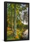 Essential Black