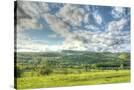 Stretched Canvas