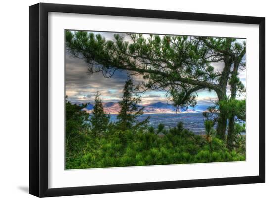 Photographic Print, , large