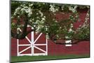 Wood Mount