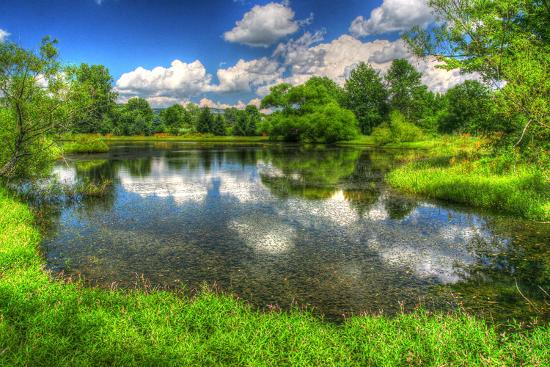 Premium Photographic Print, , large