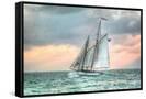 Canvas Black