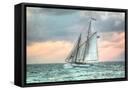 Canvas Black
